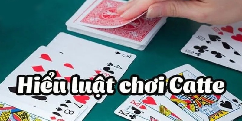 Luật chơi Catte trực tuyến chuẩn xác cho người mới