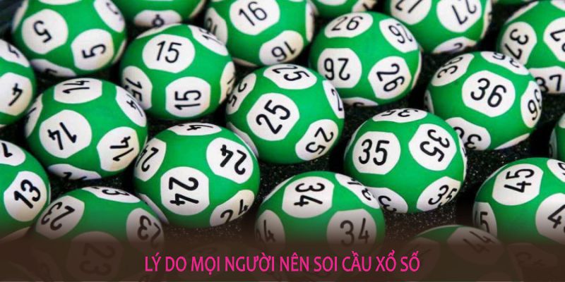 Lý do mọi người nên soi cầu xổ số miền bắc tại nhà cái KUBET