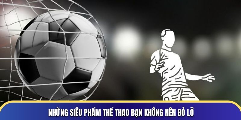 Những siêu phẩm thể thao bạn không nên bỏ lỡ